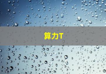 算力T