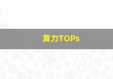 算力TOPs