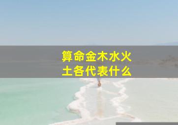 算命金木水火土各代表什么