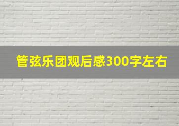 管弦乐团观后感300字左右