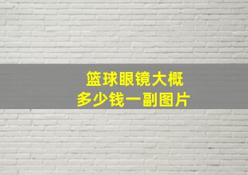 篮球眼镜大概多少钱一副图片