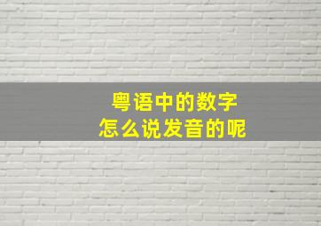 粤语中的数字怎么说发音的呢