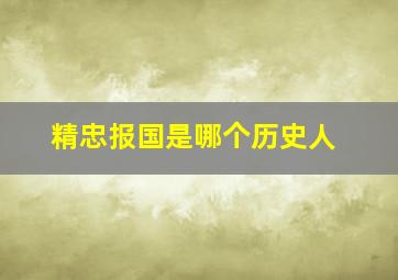 精忠报国是哪个历史人