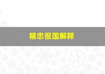 精忠报国解释