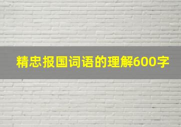 精忠报国词语的理解600字