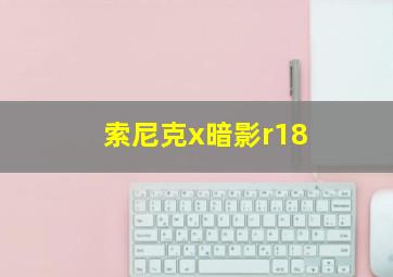 索尼克x暗影r18