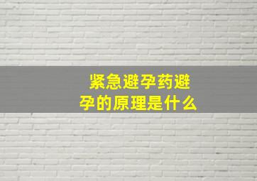 紧急避孕药避孕的原理是什么