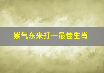 紫气东来打一最佳生肖