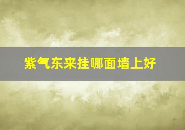 紫气东来挂哪面墙上好