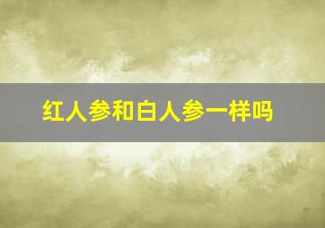 红人参和白人参一样吗