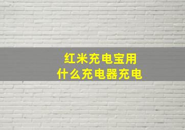 红米充电宝用什么充电器充电