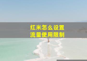 红米怎么设置流量使用限制