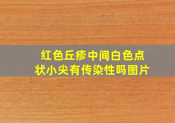 红色丘疹中间白色点状小尖有传染性吗图片