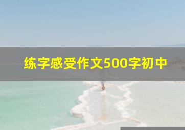 练字感受作文500字初中