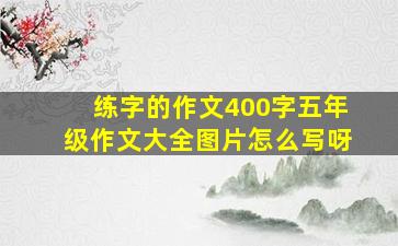 练字的作文400字五年级作文大全图片怎么写呀