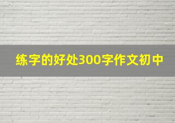 练字的好处300字作文初中