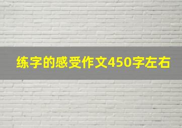 练字的感受作文450字左右