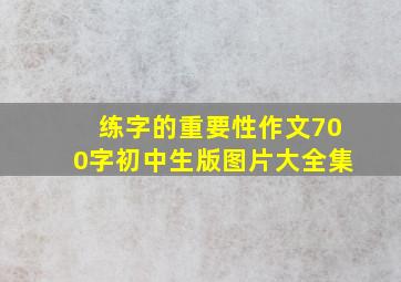 练字的重要性作文700字初中生版图片大全集