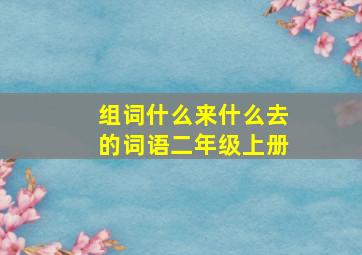 组词什么来什么去的词语二年级上册