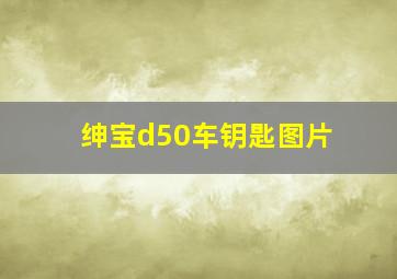 绅宝d50车钥匙图片