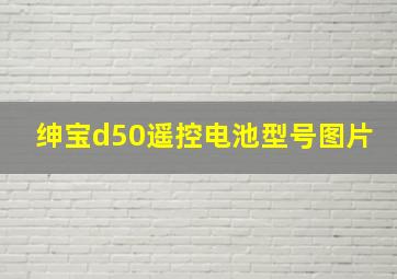 绅宝d50遥控电池型号图片