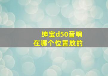 绅宝d50音响在哪个位置放的