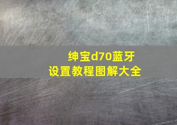 绅宝d70蓝牙设置教程图解大全