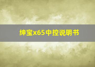 绅宝x65中控说明书