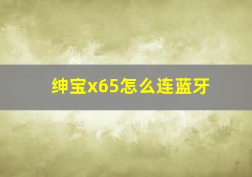 绅宝x65怎么连蓝牙