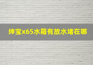 绅宝x65水箱有放水堵在哪