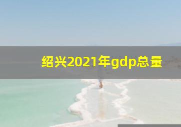 绍兴2021年gdp总量