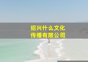 绍兴什么文化传播有限公司