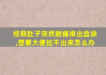 经期肚子突然剧痛排出血块,想要大便拉不出来怎么办