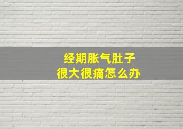 经期胀气肚子很大很痛怎么办