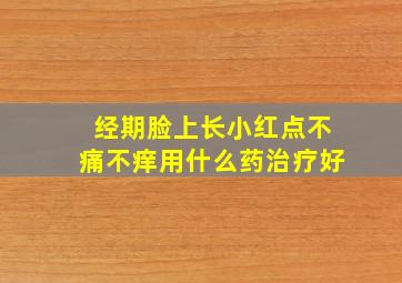 经期脸上长小红点不痛不痒用什么药治疗好