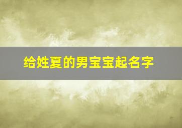 给姓夏的男宝宝起名字