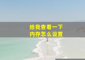 给我查看一下内存怎么设置