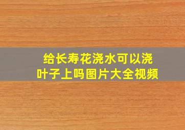 给长寿花浇水可以浇叶子上吗图片大全视频