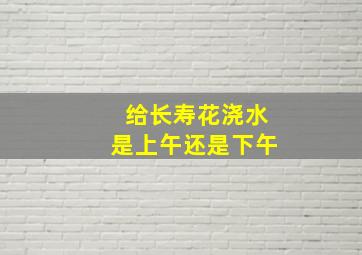 给长寿花浇水是上午还是下午