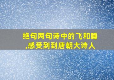 绝句两句诗中的飞和睡,感受到到唐朝大诗人