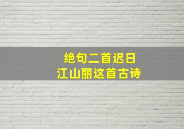 绝句二首迟日江山丽这首古诗