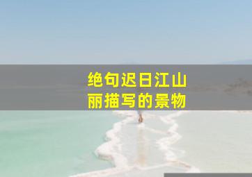 绝句迟日江山丽描写的景物