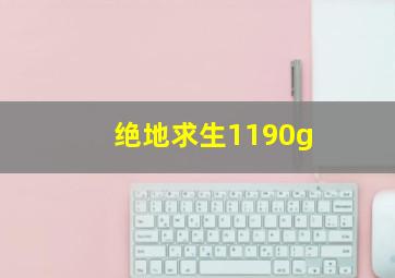 绝地求生1190g