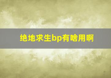 绝地求生bp有啥用啊