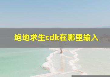 绝地求生cdk在哪里输入