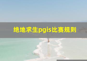 绝地求生pgis比赛规则