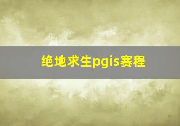 绝地求生pgis赛程