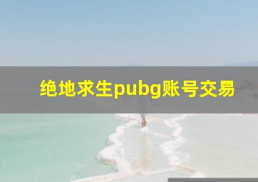 绝地求生pubg账号交易