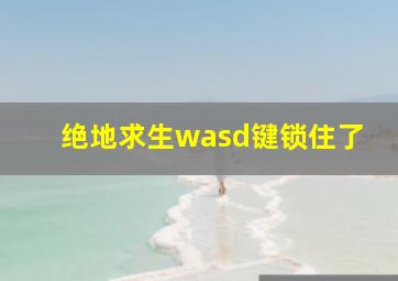 绝地求生wasd键锁住了