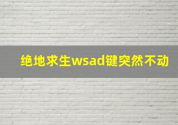 绝地求生wsad键突然不动